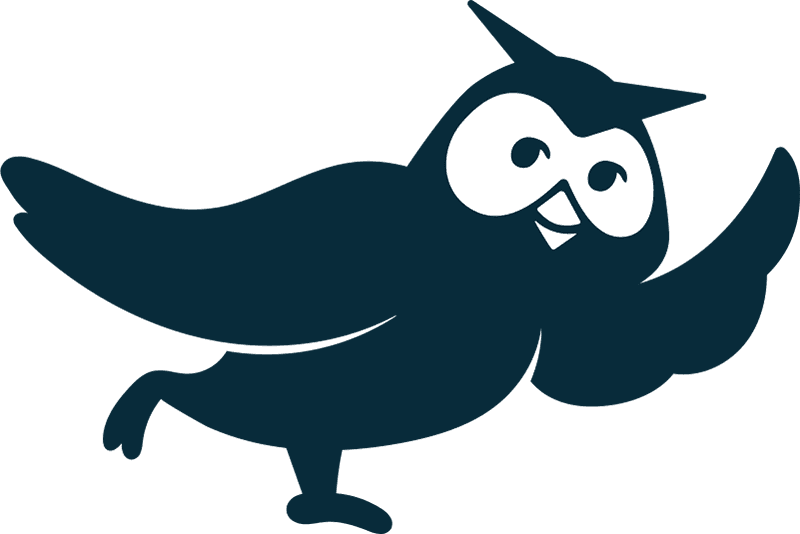 midnight blue Owly (Hootsuite owl mascot) raising its wing